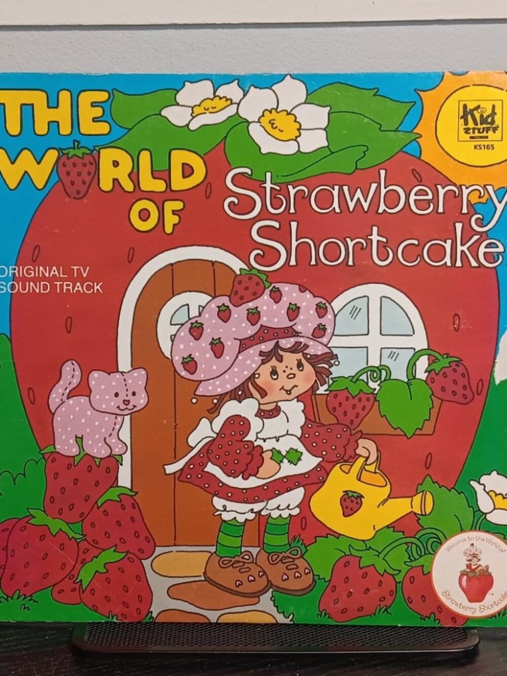 Strawberry Shortcake - The World Of Strawberry Shortcake - Circa 1980